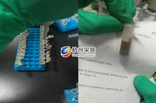 <a href=http://m.anbomachinery.com/prouduct/lengdong/ target=_blank class=infotextkey>冷凍研磨儀</a>